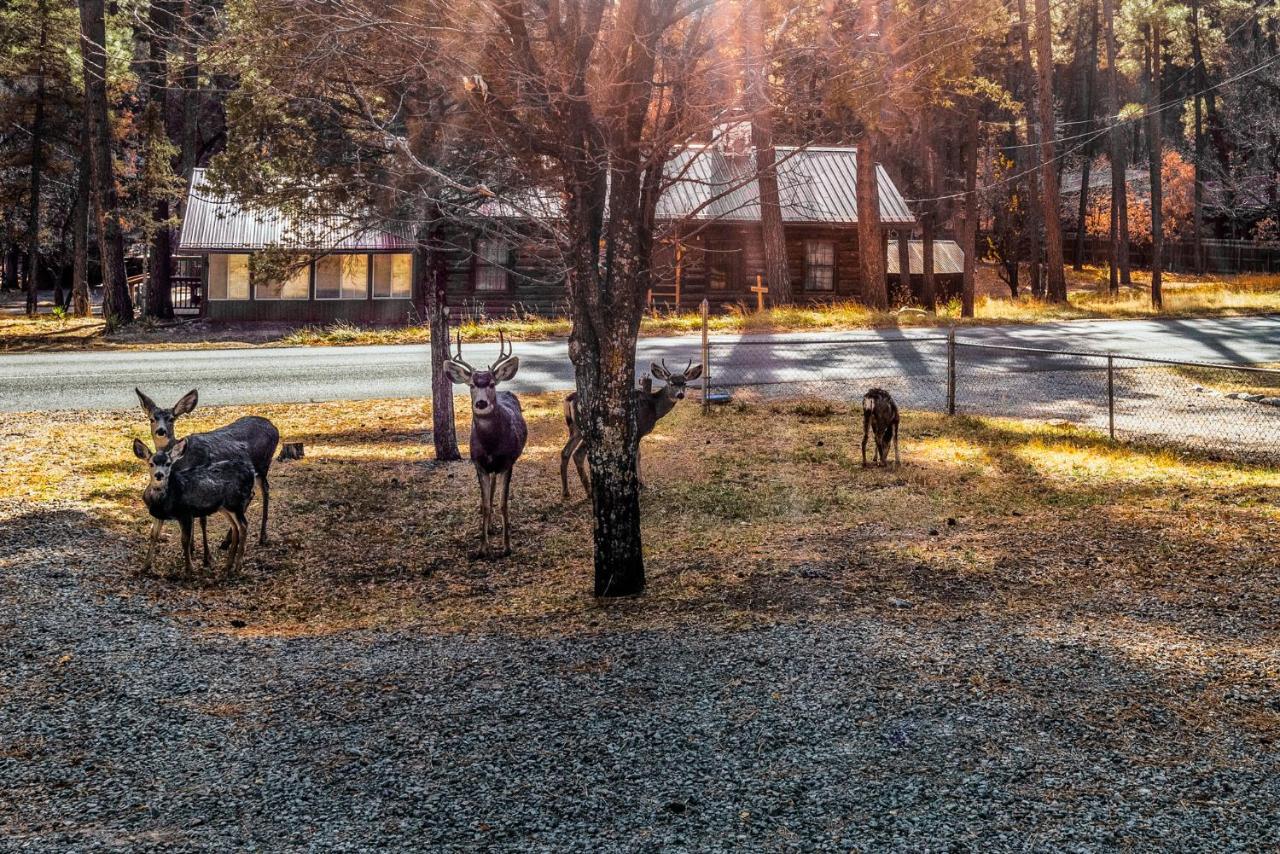 The Great Escape Villa Ruidoso Exterior photo